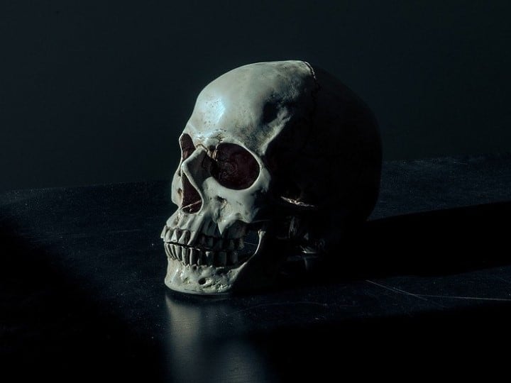 Human Skull and Bone Auction Stopped due to Ethics Outrage Human Skull on Sale: వేలానికి మనిషి పుర్రె, ఎముక - కొనేయడానికి సంపన్నులు సిద్ధం, కానీ..