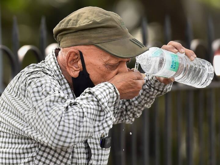Heatwave India Temperature Likely To Rise In Rajasthan Madhya Pradesh Haryana Delhi Punjab Maharashtra Heatwave Conditions Over Parts Of India, Including Capital Delhi, This Week: IMD | Details