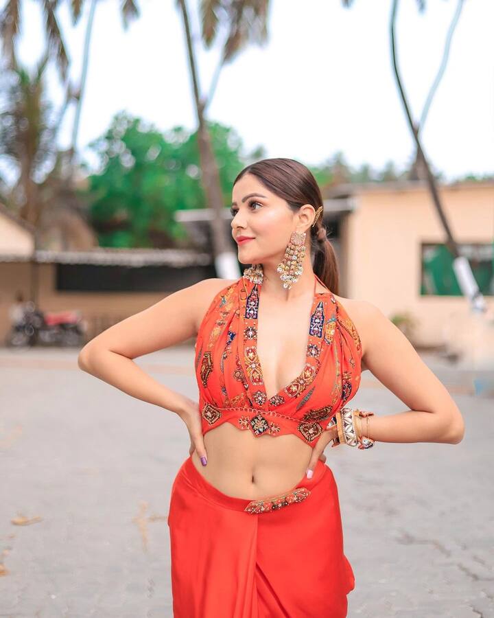 टीव्ही जगतातील लोकप्रिय सून तिच्या बॅकलेस फोटोंमुळे पुन्हा एकदा चर्चेत आली आहे.(photo:rubinadilaik/ig)