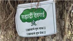 PHOTO : अभिनेते सयाजी शिंदे यांनी वाचवली 60 वर्ष जुनी दोन वडाची झाडं