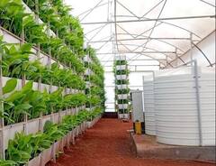 हळदीच्या क्रांतिकारक उत्पादनाबाबत जागरूकता आणणारा व्हर्टिकल फार्मिंग क्लस्टर प्रकल्प