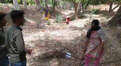 See Photos : ਲੱਕੜਾਂ ਇਕੱਠਿਆਂ ਕਰਨ ਵਾਲੀ ਟੀਚਰ!  ਹੁਣ 'ਆਪ' ਸਰਕਾਰ ਤੋਂ ਵੀ ਕੋਈ ਉਮੀਦ ਨਹੀਂ