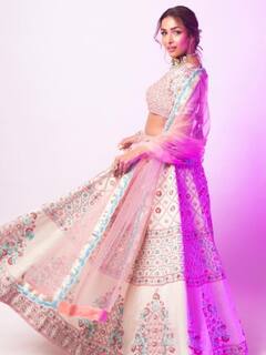 In Pics: जब लहंगे में बलखाती हुई मलाइका अरोड़ा ने बिखेरा हुस्न, फैंस ने कहा- मुन्नी आज भी ब्यूटीफुल है..