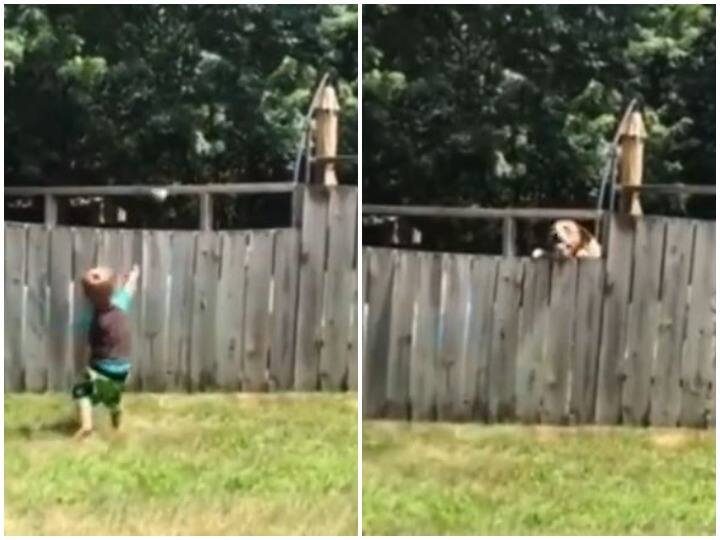 Todler seen playing in a unique way with the neighbor's dog Watch: पड़ोसी के डॉगी के साथ अनोखे अंदाज में खेलता नजर आया बच्चा, दिल जीत लेगा वीडियो