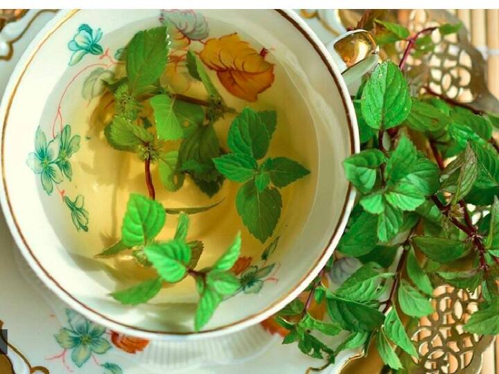 Try this ‘miracle tea’ to keep summer headache, bloating, uneasiness, abdominal pain and heaviness at bay கோடை கால தலைவலியைப் போக்க உகந்த பானம்: செய்வது எப்படி?