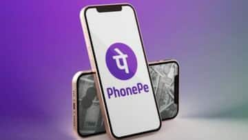 PhonePe IPO: PhonePe कर रही IPO लाने की तैयारी, Flipkart की है कंपनी में 87% हिस्सेदारी