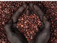 Benefits of Coffee : প্রখর রোদে নষ্ট হচ্ছে ত্বক ? কাজে লাগতে পারে কফি