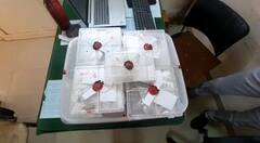 નવસારીમાંથી ઝડપાયું ચરસ, પિતા-પુત્રની ધરપકડ, યુવતીએ મંગાવ્યું હતું ચરસ