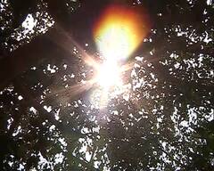 Heatwave: দাবদাহে পুড়ছে দক্ষিণবঙ্গ, প্রবল গরমে কালনায় ব্যক্তির মৃত্যু।Bangla News