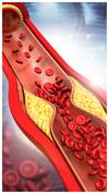 Health:બેડ કોલેસ્ટ્રોલને ઘટાડે છે આ કંદમૂળ, આ રોગના દર્દી માટે છે ફાયદાકારક, જાણો કેવી રીતે ?