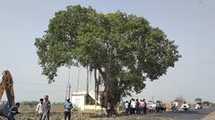 PHOTO : अभिनेते सयाजी शिंदे यांनी वाचवली 60 वर्ष जुनी दोन वडाची झाडं