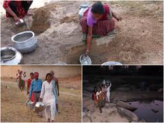 Jashpur News: जिस पानी को मवेशी पीते है उसी को पी रहे इंसान, शुद्ध पानी के लिए तरस रहे यहां के आदिवासी