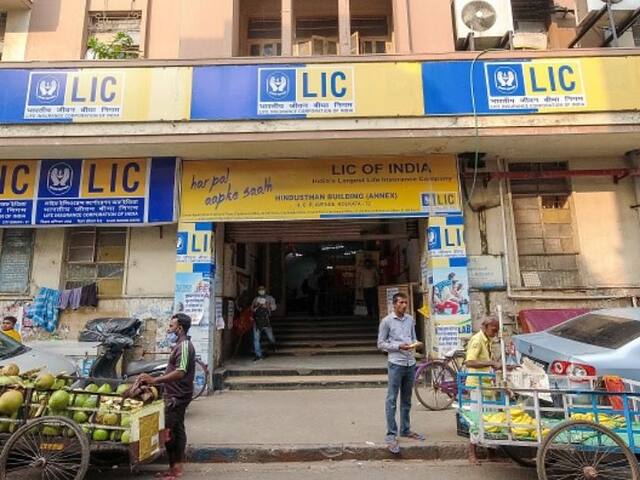 LIC IPO: List Of Top IPOs Launched In 2022, Issue Price And Listing Details