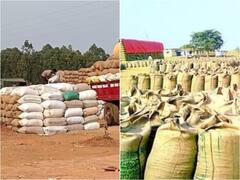 Chhattisgarh News: बस्तर में खरीदी केंद्रों की लापरवाही, ढाई महीने बाद भी नहीं हुआ 15 लाख क्विंटल धान का उठाव