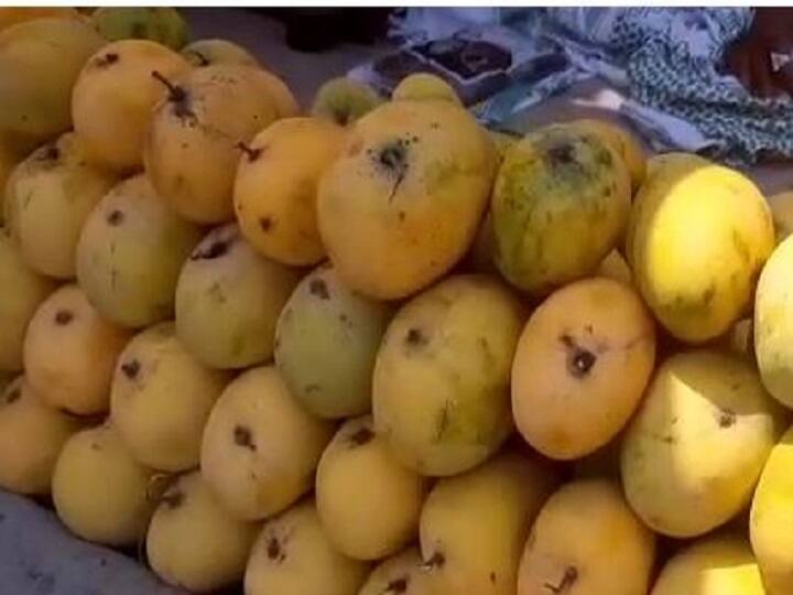 Increase in Mango prices in Dhule district, shortage of mangoes in the market Mango Prices Increase : अक्षय तृतीयेपूर्वीच आंब्याचे दर भिडले गगनाला, बाजारपेठेत आंब्याचा तुटवडा