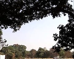 Weather Update: রাজ্যে ৫ জেলায় তাপপ্রবাহের সতর্কতা। Bangla News