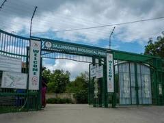 Udaipur: गर्मी ने तोड़ा 11 साल का रिकॉर्ड, चिड़ियाघर में तमाम इंतजाम के बावजूद मौत के मुंह में समा रहे जानवर