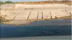 નર્મદાની આ કેનાલ બિસ્માર હાલતમાં