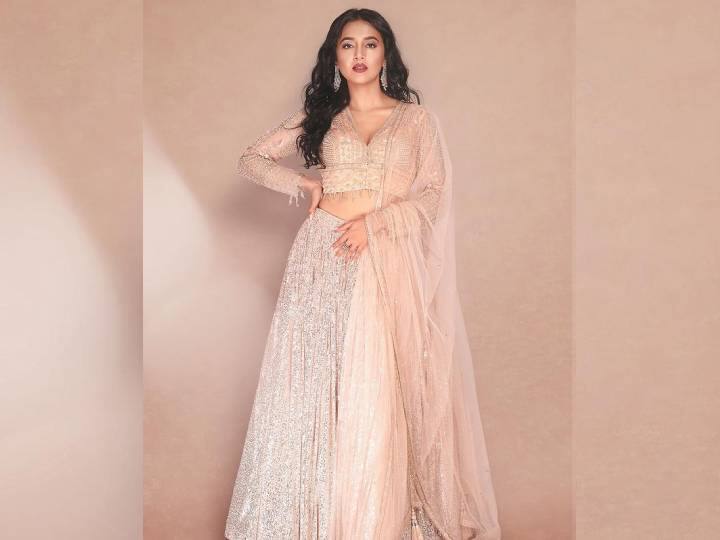 सलमान खानच्या ‘बिग बॉस 15’च्या घरात हे दोघे एकमेकांच्या जवळ आले. इथून सुरु झालेले त्यांचे नाते ‘बिग बॉस’च्या घराबाहेरही टिकून राहिले आहे.