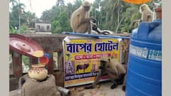 East Midnapur News: তীব্র দাবদাহে নাজেহাল অবস্থা, পশুপাখিদের জন্য 'বাপের হোটেল' চালু করলেন শিক্ষক