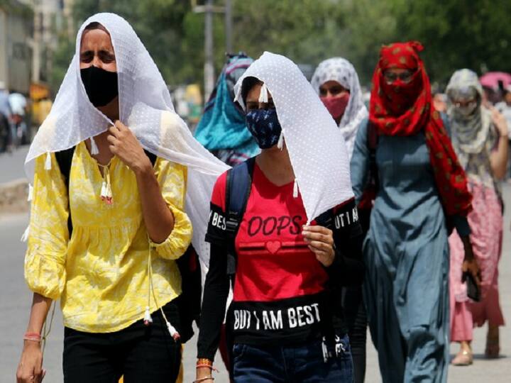 World Bank Report : India Could Soon Experience Heat Waves that break Human Survivability Limit Heatwave: ભારતમાં પડશે અસહ્ય ગરમી, લોકો બની જશે 'ભડથું' : વર્લ્ડબેંકની ગંભીર ચેતવણી