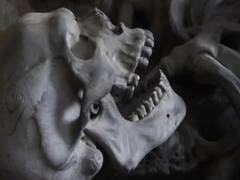 Punjab News: पंजाब में मिले 160 साल पुराने मानव कंकाल शहीदों के, रिपोर्ट में हुआ यह खुलासा