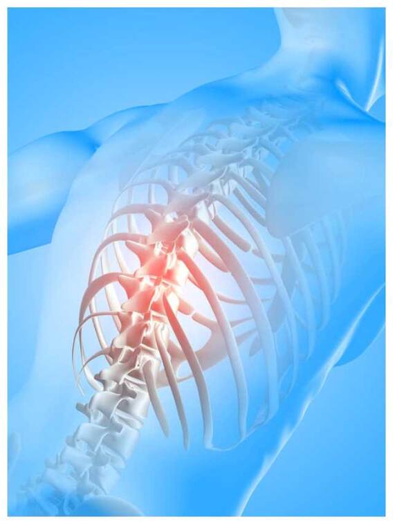 हड्डियों की मजबूती को बढ़ाने के लिए खाएं ये हेल्दी फूड्स