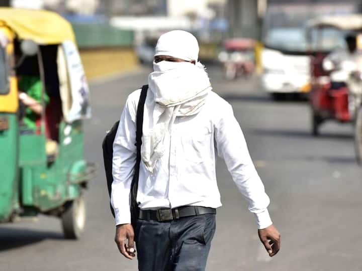 Heatwave Update: Delhi Crosses 49 Degree Celsius Mark, Know details Two Weather Stations Record Temperature Above 49 Degree Celsius In Delhi
