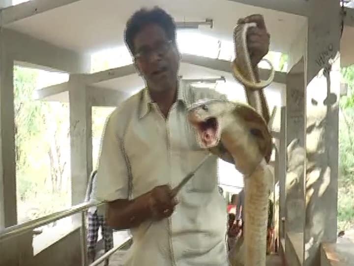 Snake Catcher Bhaskar Naidu Back to job in Tirumala after snake bite Tirumala Snake Catcher: స్నేక్ క్యాచర్ ఈస్ బ్యాక్, ఇప్పటిదాకా 10 వేల పాములు - చావుబతుకుల నుంచి మళ్లీ విధుల్లోకి