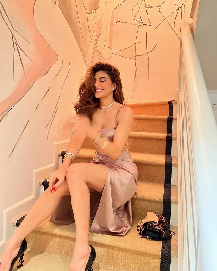 जॅकलिन आणि सुकेशचे अनेक फोटोही समोर आले होते. सुकेश सध्या तिहार तुरुंगात आहे. तपासादरम्यान, ईडीला सुकेशने जॅकलिनला दिलेली सुमारे 7 कोटी रुपयांची मालमत्ता ही गुन्ह्यातून कमावलेली मालमत्ता असल्याचं आढळून आले. यानंतर कारवाई करत ईडीने जॅकलिनच्या या मालमत्ता जप्त केल्या आहेत.(photo:jacquelinef143/ig)