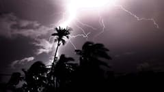 Weather Update: কোথাও উপড়ে পড়ল গাছ, কেউ হারাল ঘর, ঝড়ে লন্ডভন্ড জেলাগুলি ।Bangla News