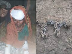 Rajasthan: भीषण गर्मी से पैदा हुए जल संकट के कारण इंसान और जंगली जीवों में संघर्ष, तेंदुए की मौत, 8 लोग घायल