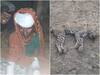 Rajasthan: भीषण गर्मी से पैदा हुए जल संकट के कारण इंसान और जंगली जीवों में संघर्ष, तेंदुए की मौत, 8 लोग घायल