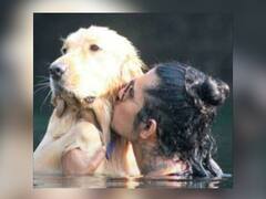 Ratnagiri News : मालकाचा बुडून मृत्यू; कुत्र्यानेही 24 तासात प्राण सोडले!