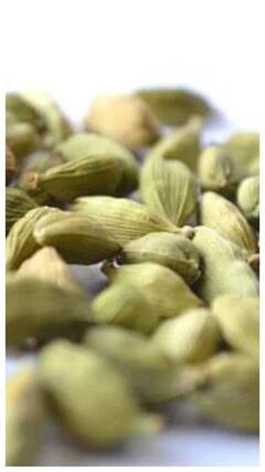 Health Tips : हिरवी वेलची पुरुषांसाठी आरोग्यदायी; जाणून घ्या याचे फायदे