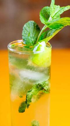 Health Tips : पुदिना आरोग्यासाठी गुणकारी, जाणून घ्या याचे अनेक फायदे