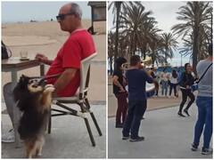 Watch: बैंड की धुन पर दो पैरों पर खड़े होकर थिरकता नजर आया डॉगी, वायरल हुआ वीडियो