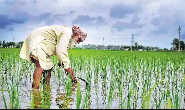 Punjab Government decides to help farmers direct sowing Breaking: ਪੰਜਾਬ ਸਰਕਾਰ ਦਾ ਵੱਡਾ ਫੈਸਲਾ, ਸਿੱਧੀ ਬਿਜਾਈ ਕਰਨ ਵਾਲੇ ਕਿਸਾਨਾਂ ਦੀ ਮਦਦ ਕਰੇਗੀ ਸਰਕਾਰ