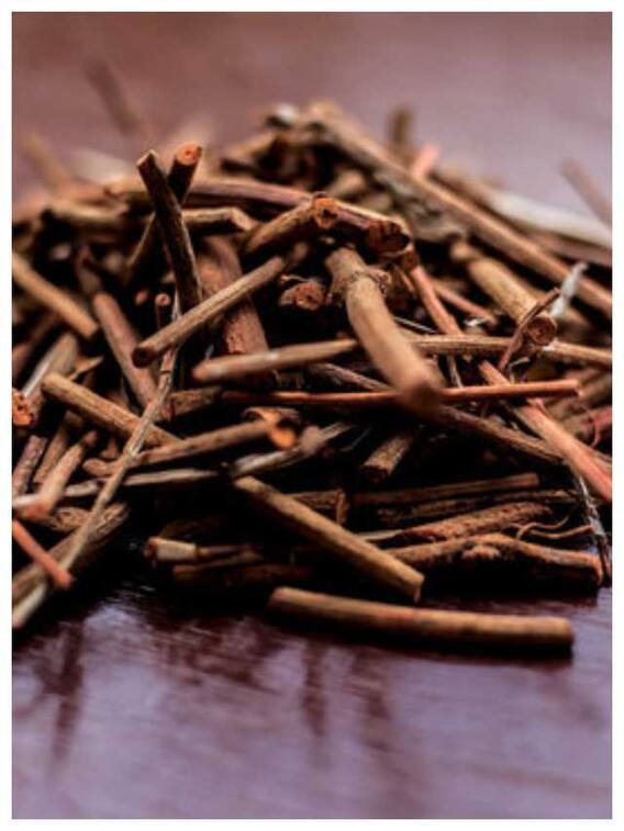 शरीर की इन 10 समस्याओं को दूर करे आयुर्वेद की ये जड़ी-बूटी