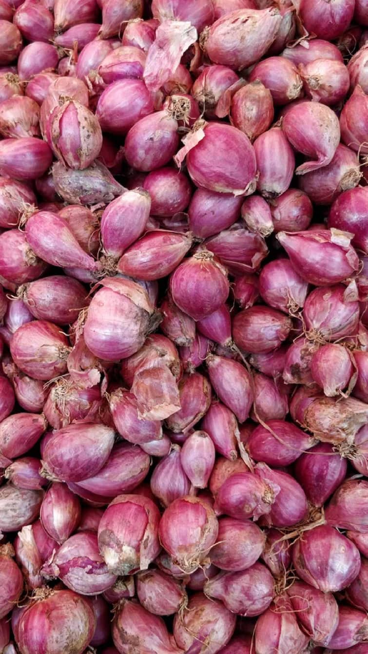 Maharashtra News Onion seeds sold at reasonable rates, demand of onion growers of nashik Nashik Kanda Parishad : कांदा बियाणे दराबाबत योग्य निर्णय घ्या, अन्यथा..., येवल्यात पुन्हा कांदा परिषद 