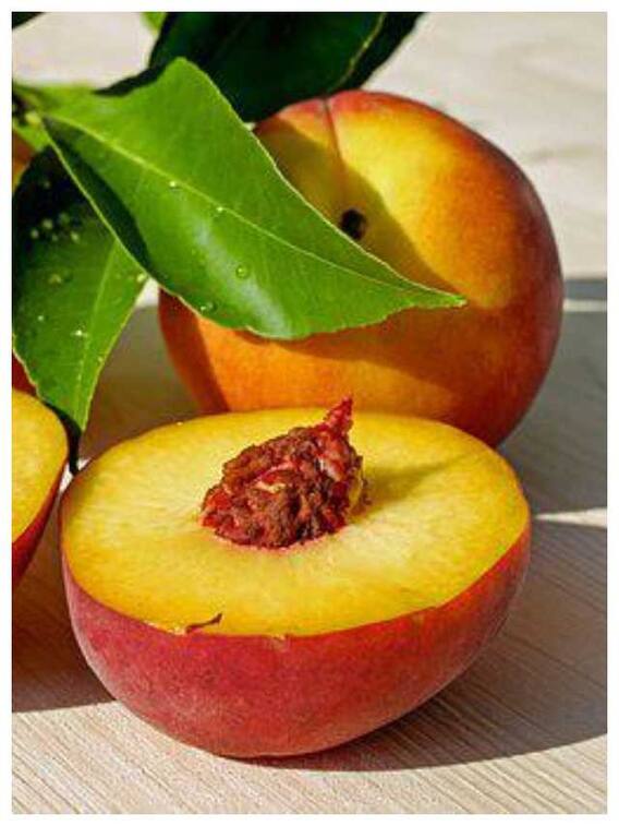 सेहत के लिए बहुत फायदेमंद है आडू, इन 10 समस्याओं को कर सकता है दूर