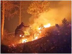 उत्तराखंड के 8 जिलों के जंगलों में लगी आग, धू धू कर जल रहा है 2785 हेक्टेयर का वन क्षेत्र