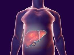 fatty liver symptoms and home remedies થકાવટ અને ભૂખ ન લાગવા સહિતના આ લક્ષણો આ બીમારીના છે સંકેત, જાણો તેના ઉપાય