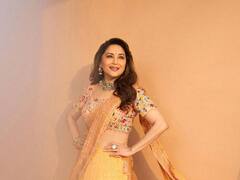 Madhuri Dixit : धक धक गर्लचं नवं फोटोशूट पाहिलं का?