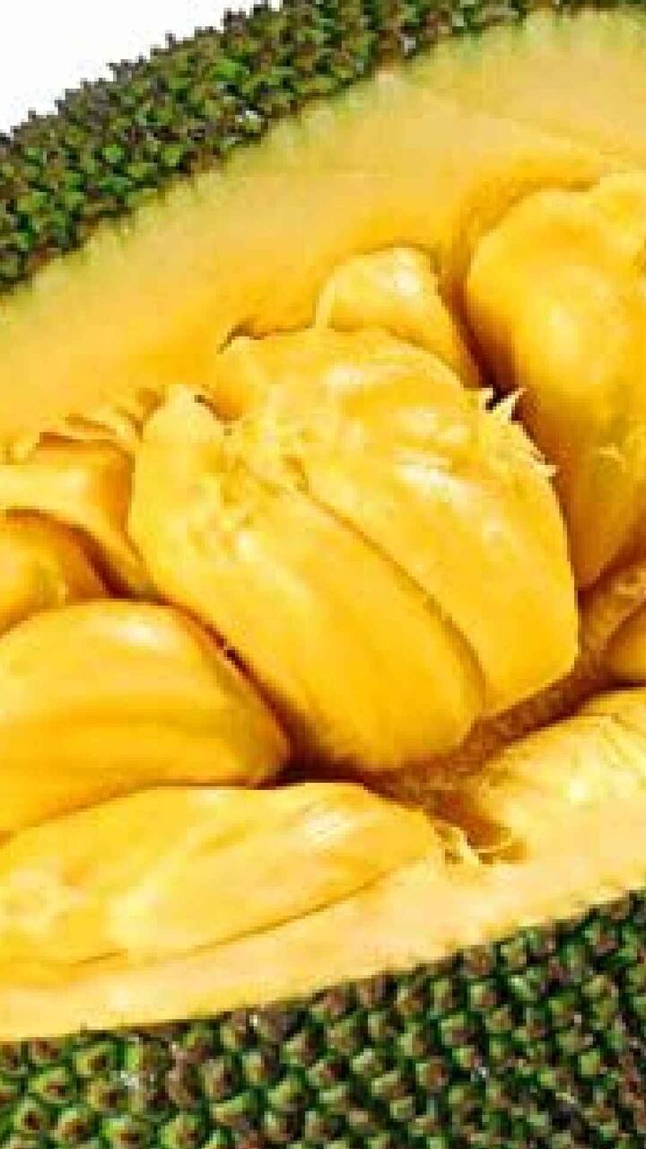 ज्यांना उच्च रक्तदाबाचा त्रास आहे त्यांच्यासाठी फणस खाणे उपयुक्त आहे. कारण फणसात असणाऱ्या पोटॅशियममुळे रक्तदाब आटोक्यात राहण्यास मदत होते.