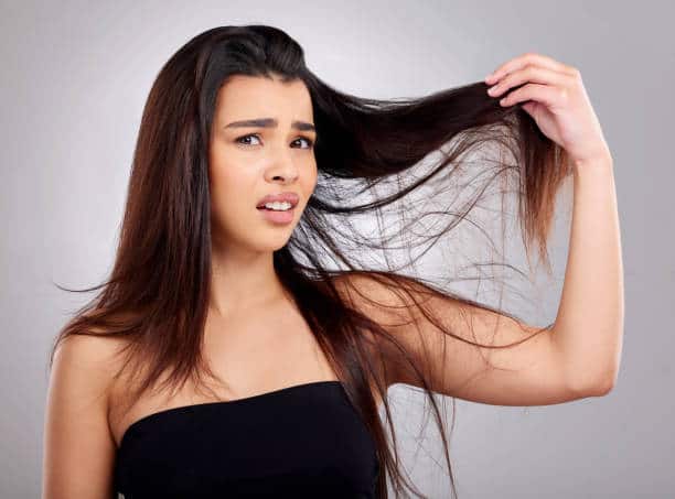 promote hair growth with alovera gel in diy home remedy for hair growth Hair Growth : केस लांब आणि चमकदार बनवायचे आहेत? करा 'हा' घरगुती उपाय