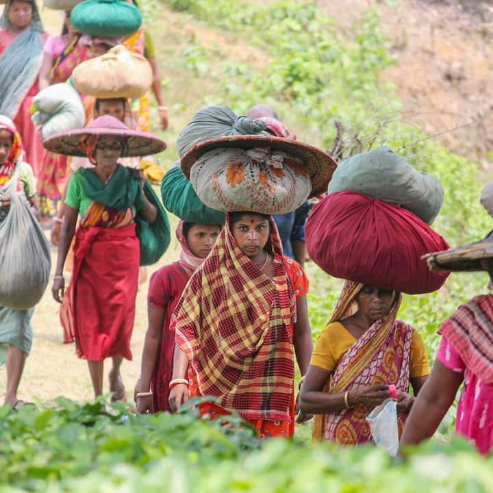 ঊনবিংশ শতকে মার্কিন যুক্তরাষ্ট্রে শ্রমিক ইউনিয়ন আন্দোলনের মাধ্যমে মে দিবসের শুরুর কথা জানা যায়।