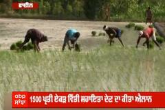 ਝੋਨੇ ਦੀ ਸਿੱਧੀ ਬਿਜਾਈ ਲਈ ਕਿਸਾਨ ਨਹੀਂ ਰਾਜ਼ੀ, 5 ਹਜ਼ਾਰ ਰੁਪਏ ਪ੍ਰਤੀਏਕੜ ਦੀ ਰੱਖੀ ਮੰਗ