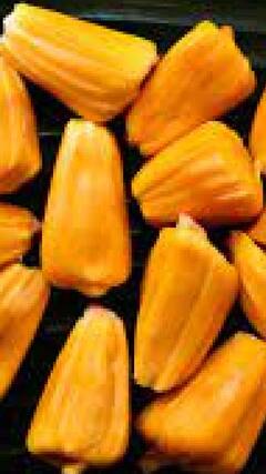 Health Tips : बहुगुणी फणसाचे आहेत अनेक फायदे, जाणून घ्या