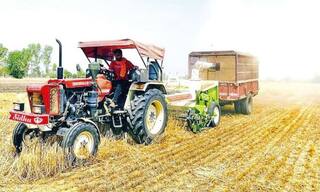 ਪੰਜਾਬ ਤੋਂ ਤੂੜੀ ਬਾਹਰ ਭੇਜਣ 'ਤੇ ਪਾਬੰਦੀ, ਫੈਕਟਰੀਆਂ 'ਚ ਵੀ ਬਾਲਣ ਵਜੋਂ ਨਹੀਂ ਵਰਤੀ ਜਾ ਸਕੇਗੀ